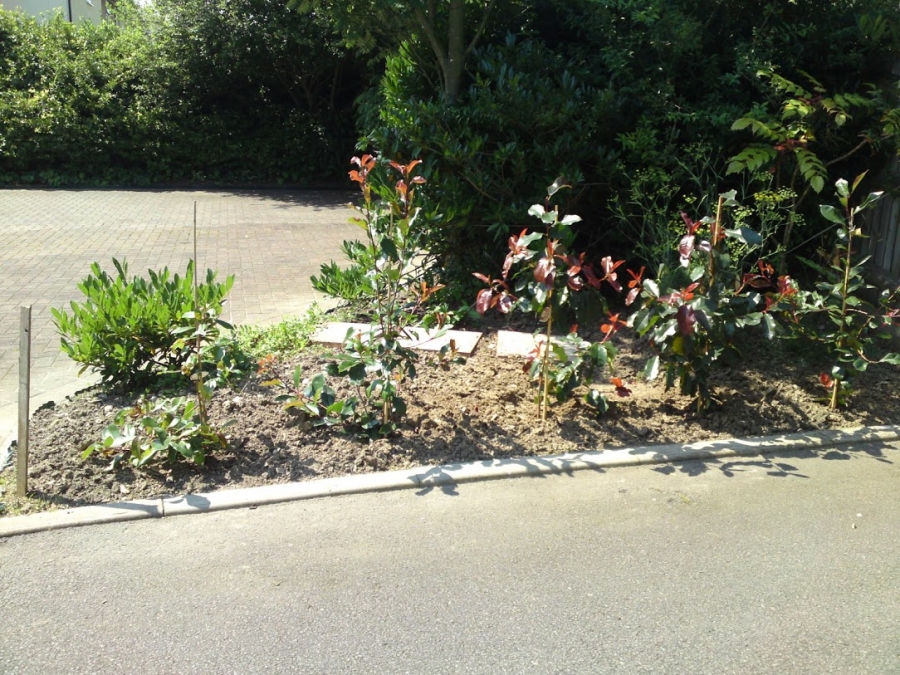 Our Work - Herts Stump Grinding and Removal -  The Tree Stump Removal Company
