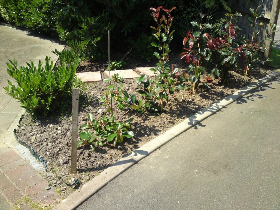 Our Work - Herts Stump Grinding and Removal -  The Tree Stump Removal Company