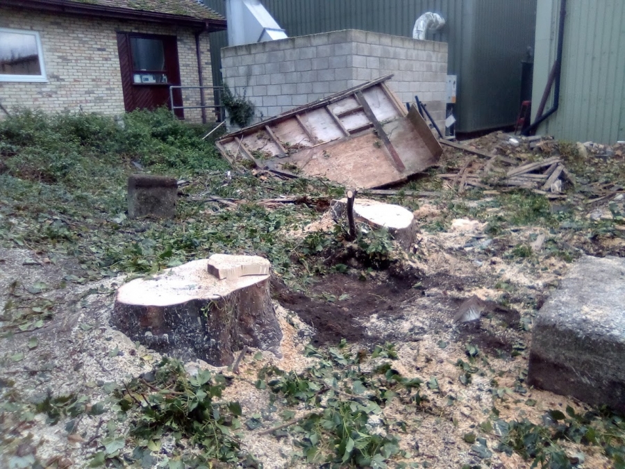 Our Work - Herts Stump Grinding and Removal -  The Tree Stump Removal Company