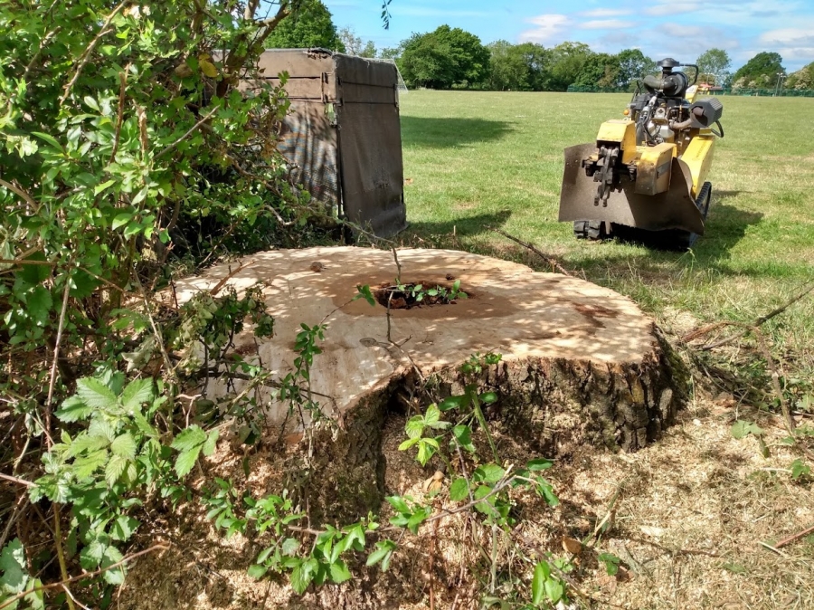 Our Work - Herts Stump Grinding and Removal -  The Tree Stump Removal Company