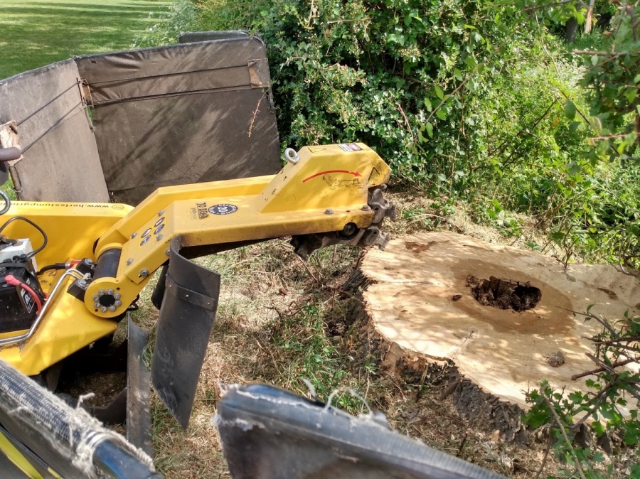 Our Work - Herts Stump Grinding and Removal -  The Tree Stump Removal Company