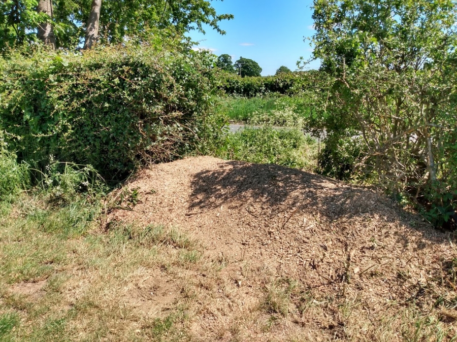 Our Work - Herts Stump Grinding and Removal -  The Tree Stump Removal Company