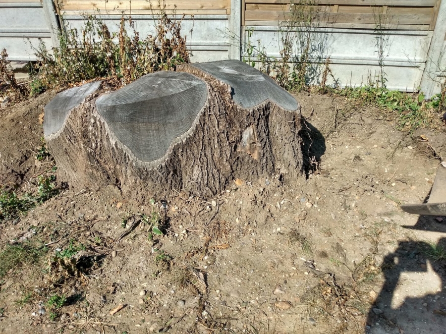 Our Work - Herts Stump Grinding and Removal -  The Tree Stump Removal Company