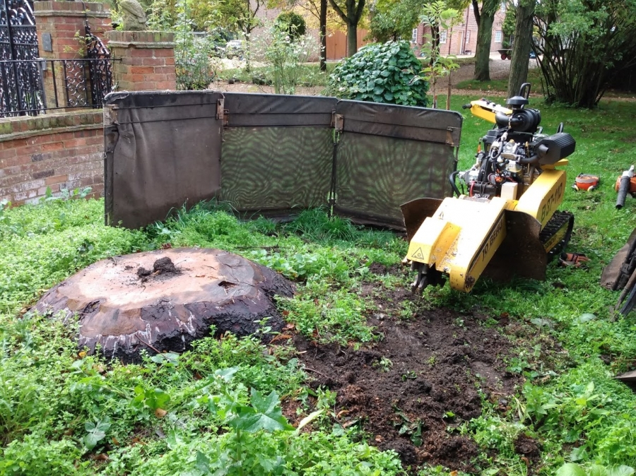 Our Work - Herts Stump Grinding and Removal -  The Tree Stump Removal Company