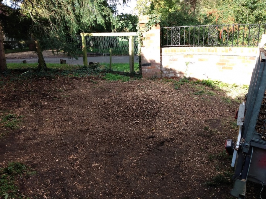 Our Work - Herts Stump Grinding and Removal -  The Tree Stump Removal Company
