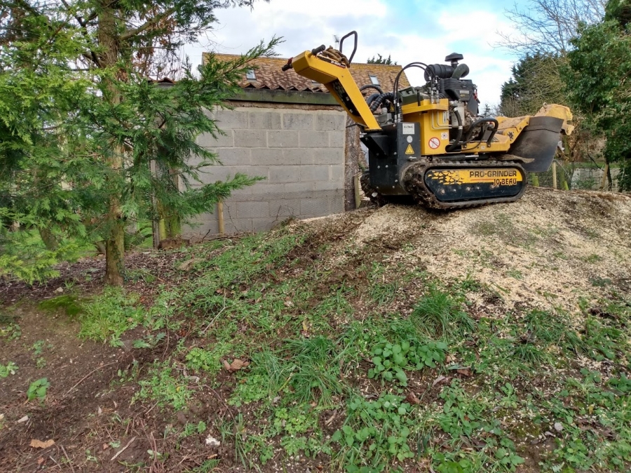 Our Work - Herts Stump Grinding and Removal -  The Tree Stump Removal Company