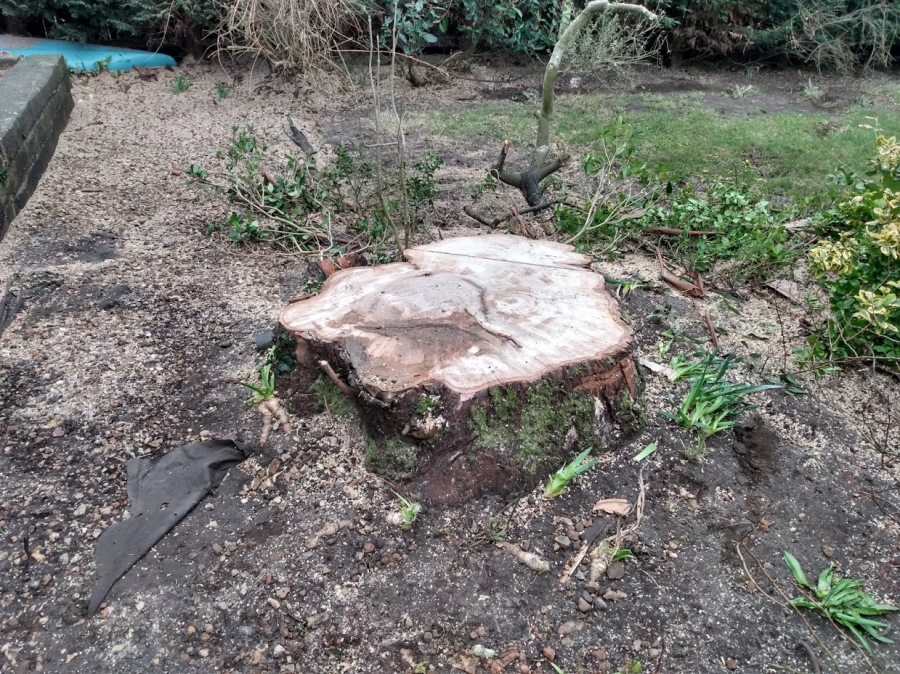 Our Work - Herts Stump Grinding and Removal -  The Tree Stump Removal Company