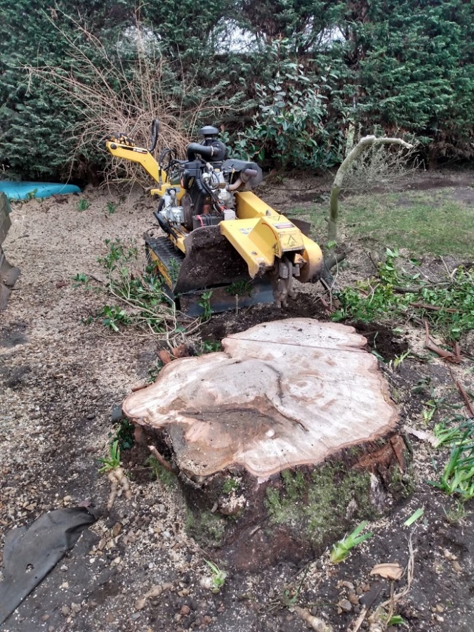 Our Work - Herts Stump Grinding and Removal -  The Tree Stump Removal Company