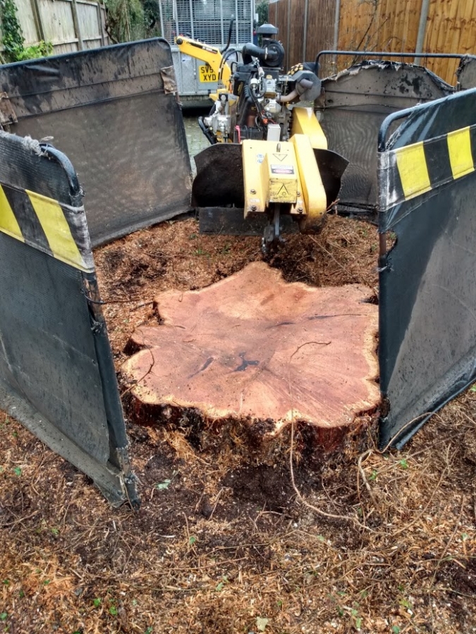 Our Work - Herts Stump Grinding and Removal -  The Tree Stump Removal Company