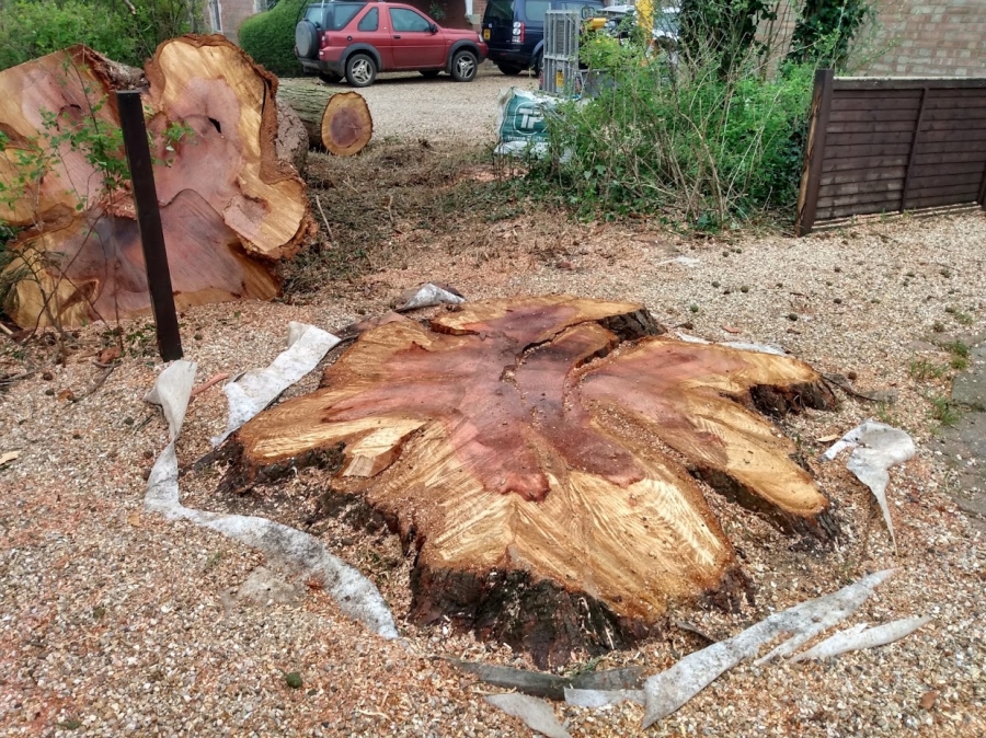 Our Work - Herts Stump Grinding and Removal -  The Tree Stump Removal Company