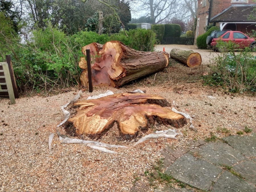 Our Work - Herts Stump Grinding and Removal -  The Tree Stump Removal Company