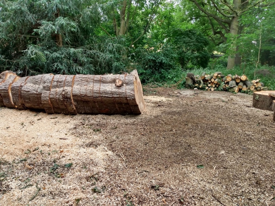Our Work - Herts Stump Grinding and Removal -  The Tree Stump Removal Company