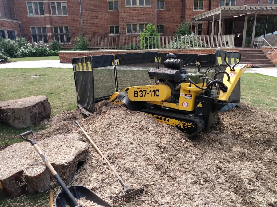 Our Work - Herts Stump Grinding and Removal -  The Tree Stump Removal Company