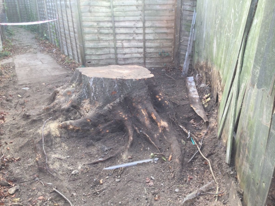 Our Work - Herts Stump Grinding and Removal -  The Tree Stump Removal Company