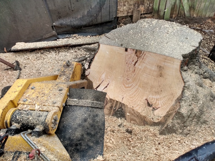 Our Work - Herts Stump Grinding and Removal -  The Tree Stump Removal Company
