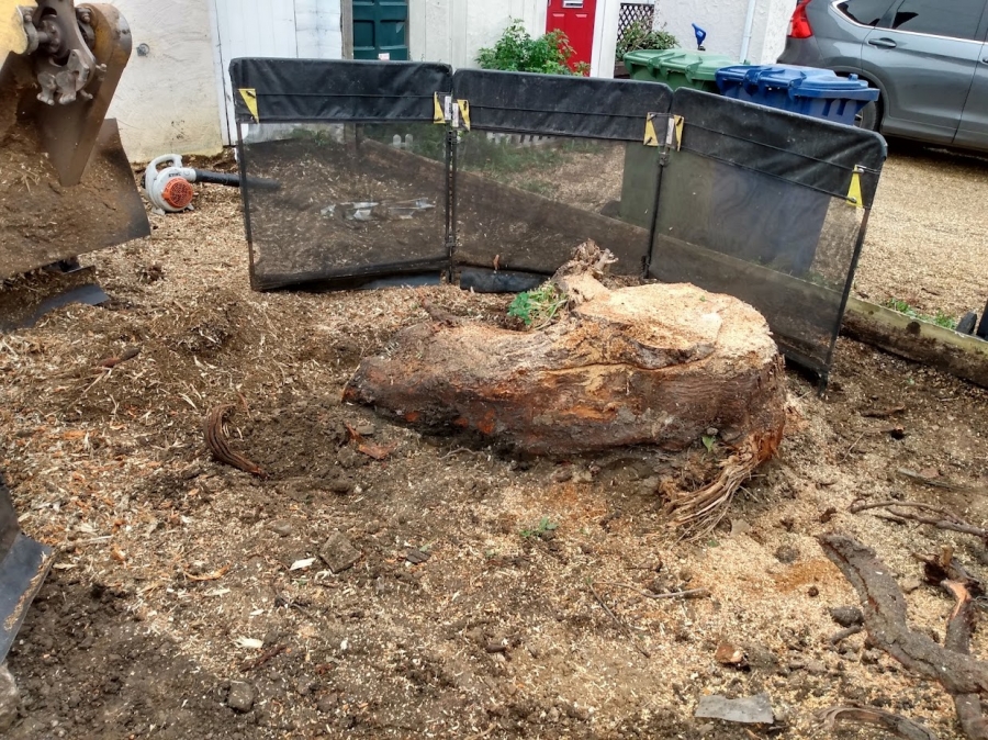 Our Work - Herts Stump Grinding and Removal -  The Tree Stump Removal Company