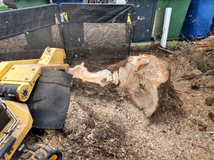 Our Work - Herts Stump Grinding and Removal -  The Tree Stump Removal Company