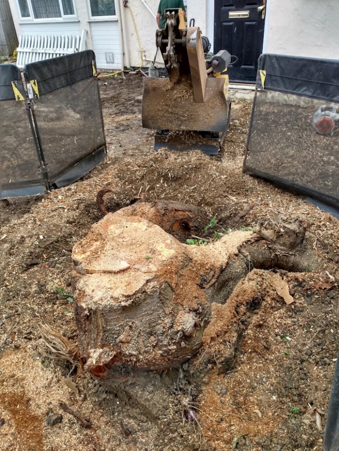 Our Work - Herts Stump Grinding and Removal -  The Tree Stump Removal Company