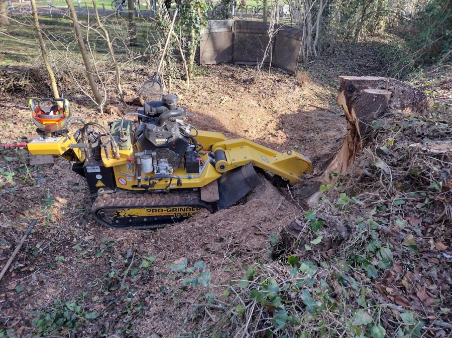 Our Work - Herts Stump Grinding and Removal -  The Tree Stump Removal Company