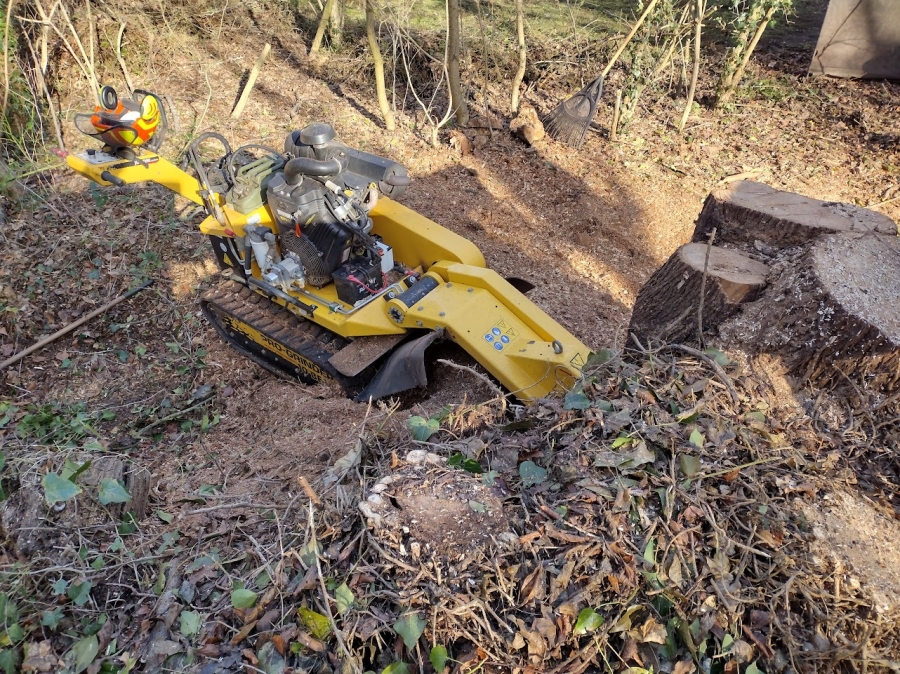 Our Work - Herts Stump Grinding and Removal -  The Tree Stump Removal Company