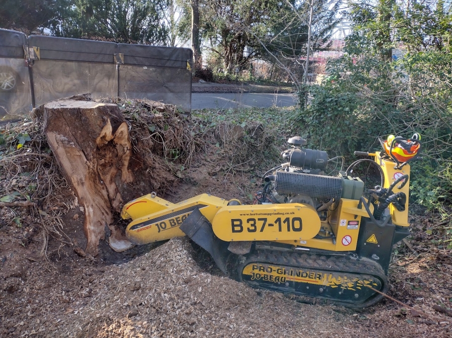 Our Work - Herts Stump Grinding and Removal -  The Tree Stump Removal Company
