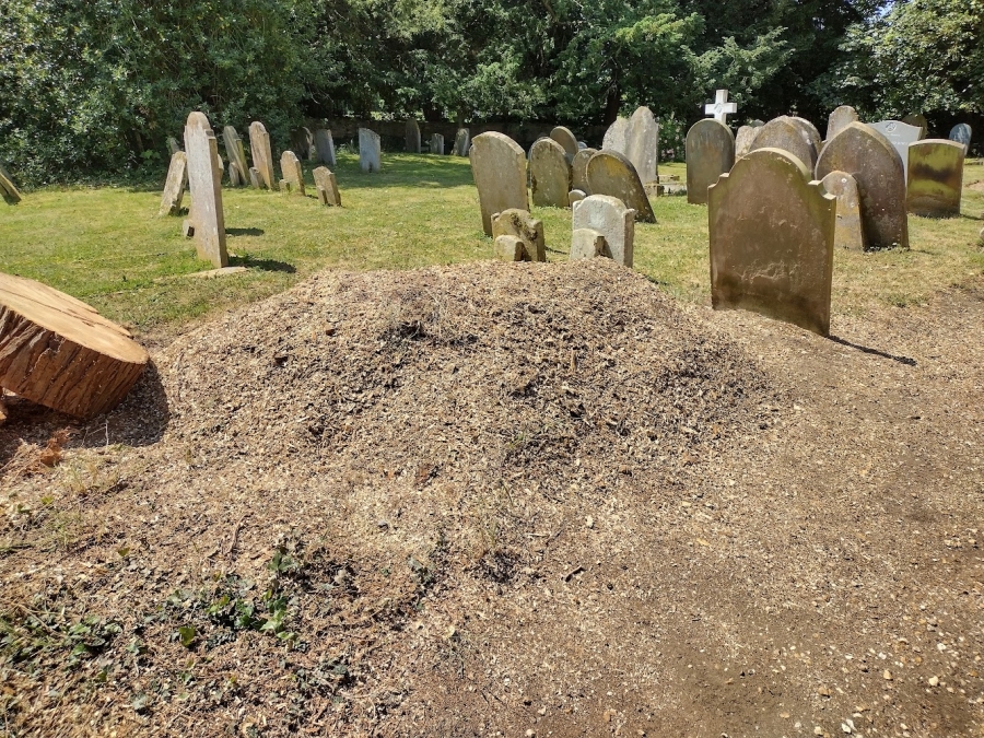 Our Work - Herts Stump Grinding and Removal -  The Tree Stump Removal Company