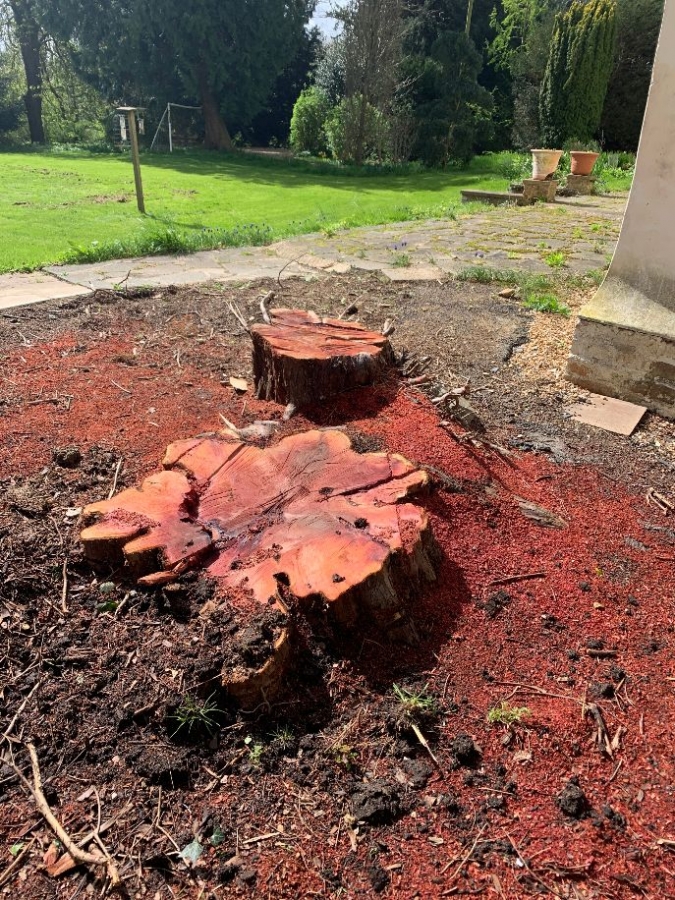 Our Work - Herts Stump Grinding and Removal -  The Tree Stump Removal Company