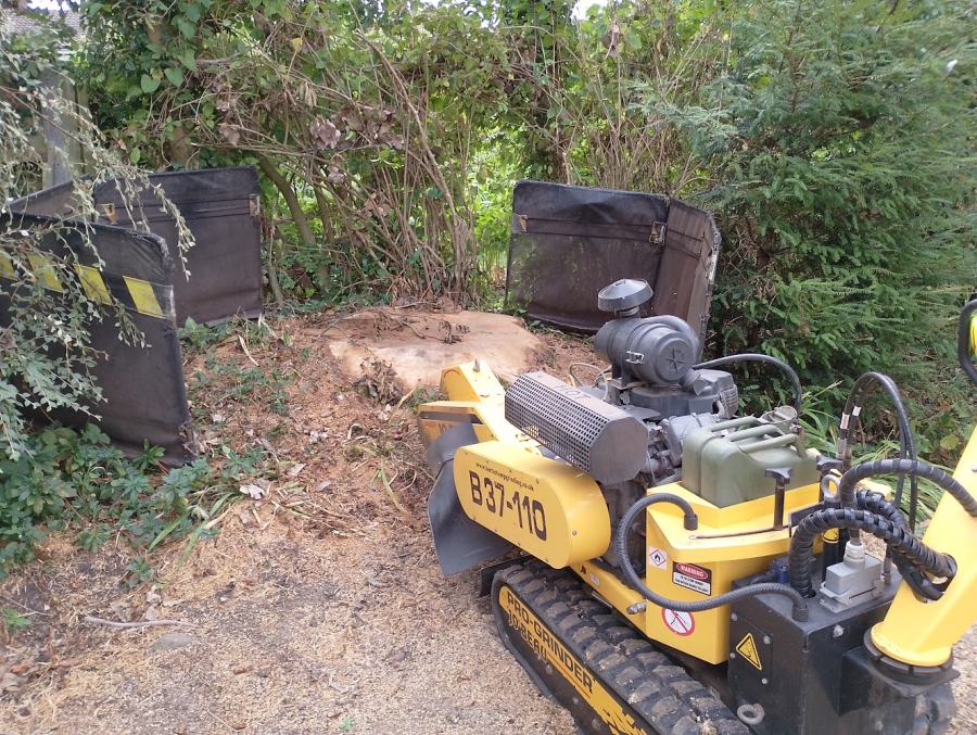 Our Work - Herts Stump Grinding and Removal -  The Tree Stump Removal Company