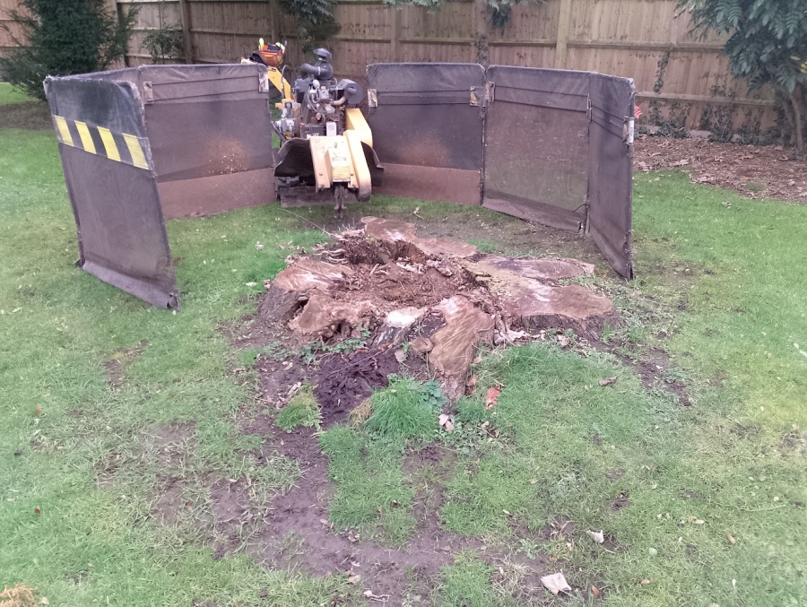 Our Work - Herts Stump Grinding and Removal -  The Tree Stump Removal Company