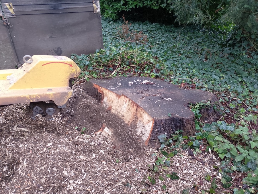 Our Work - Herts Stump Grinding and Removal -  The Tree Stump Removal Company