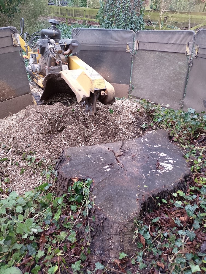 Our Work - Herts Stump Grinding and Removal -  The Tree Stump Removal Company