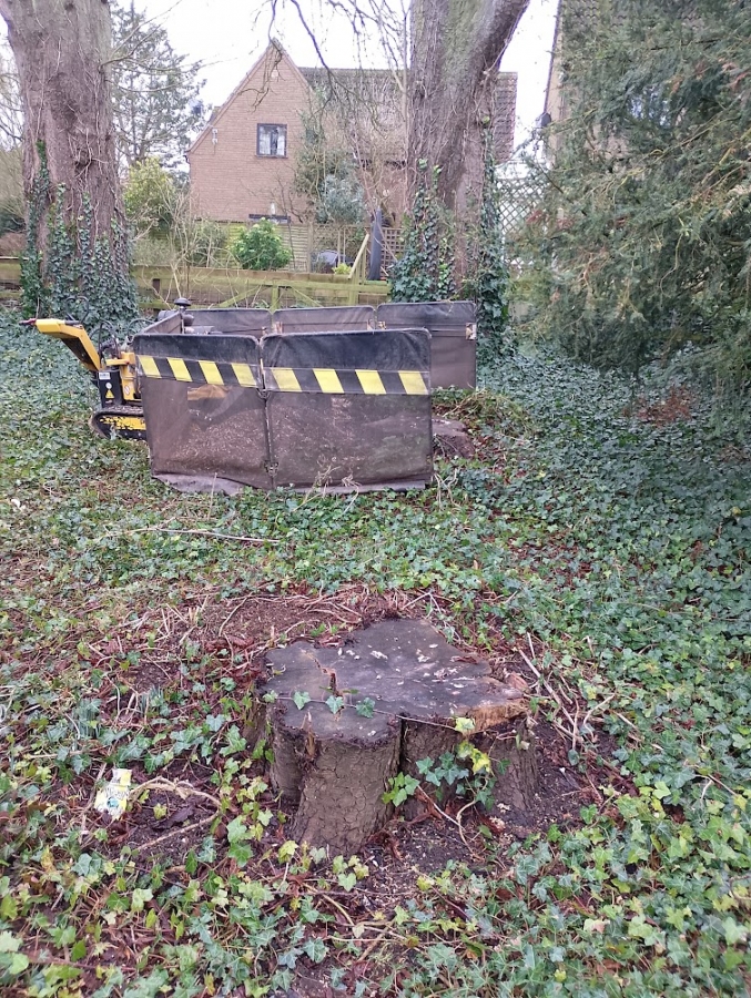 Our Work - Herts Stump Grinding and Removal -  The Tree Stump Removal Company
