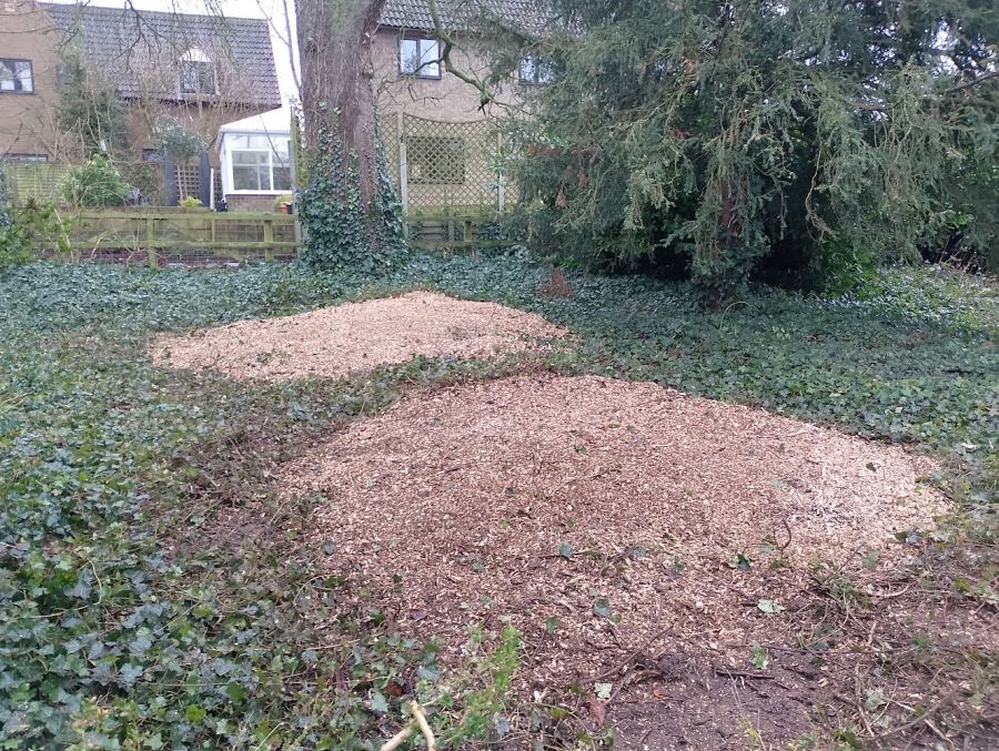 Our Work - Herts Stump Grinding and Removal -  The Tree Stump Removal Company