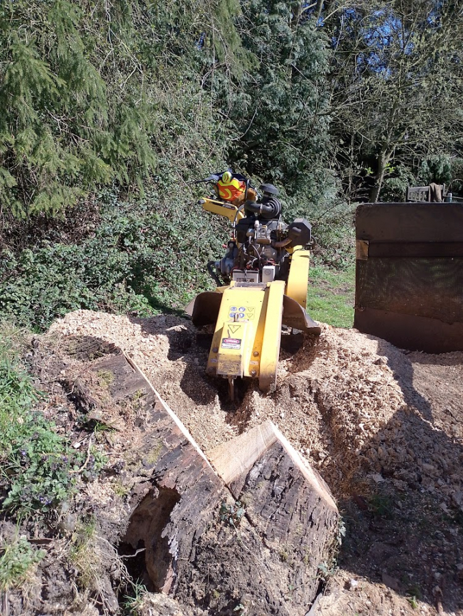Our Work - Herts Stump Grinding and Removal -  The Tree Stump Removal Company