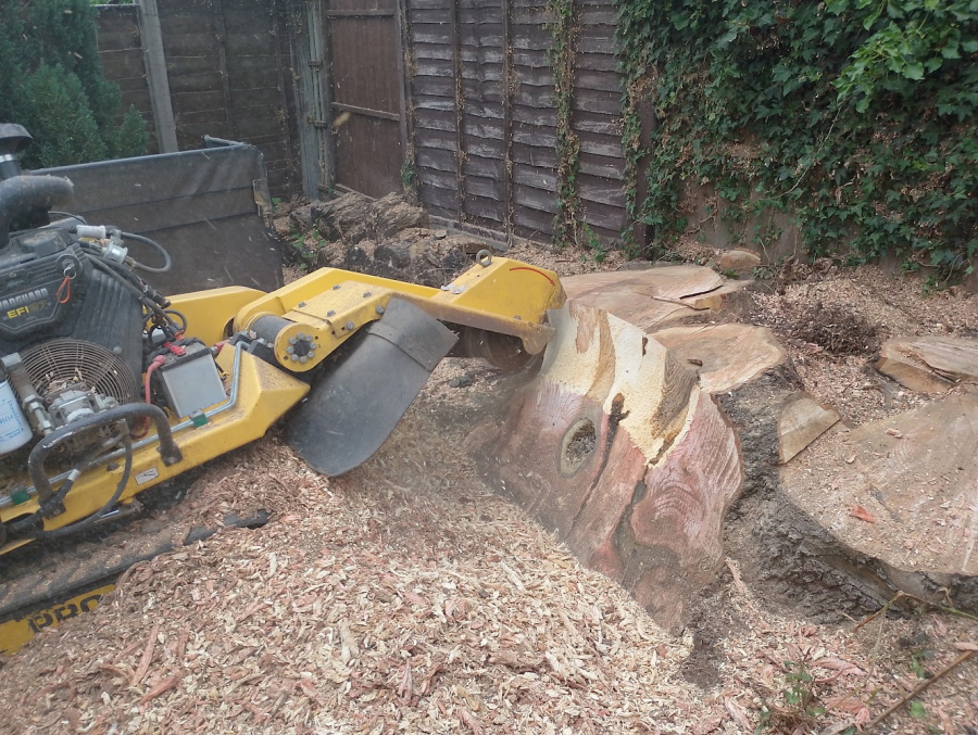 Our Work - Herts Stump Grinding and Removal -  The Tree Stump Removal Company