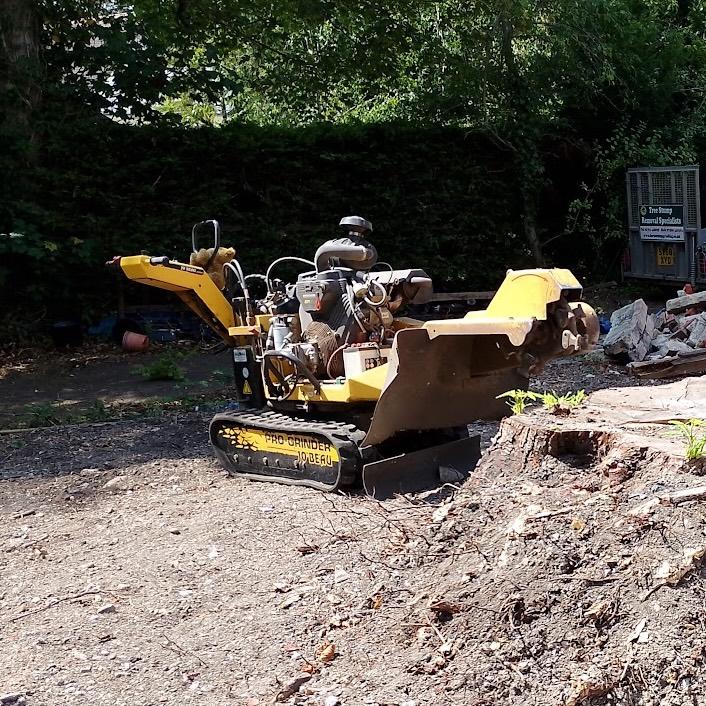 Tree stump grinding job in Therfield  - Our Work -  Herts Stump Grinding and Removal