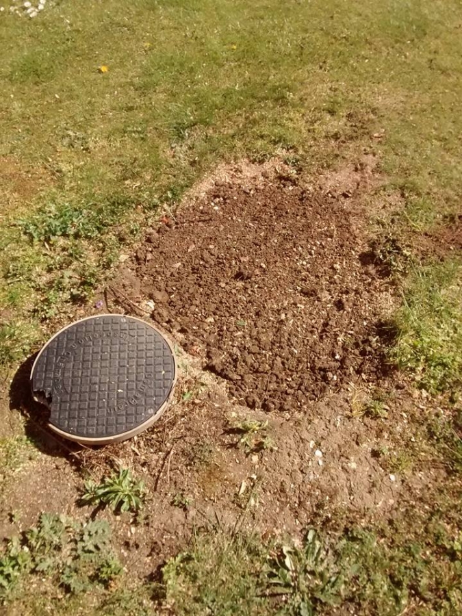 Before and After Stump Removal - Herts Stump Grinding and Removal -  The Tree Stump Removal Company