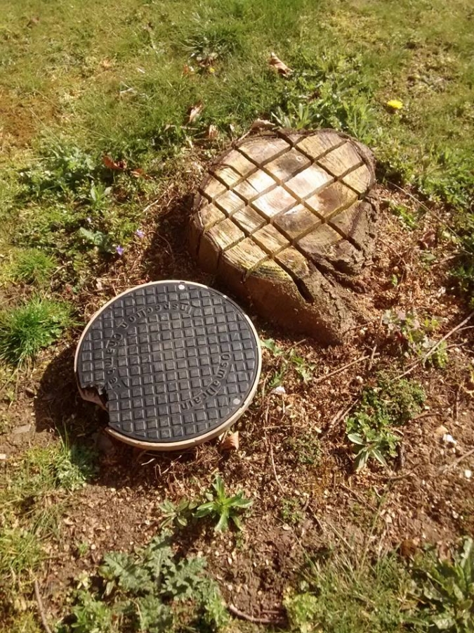 Before and After Stump Removal - Herts Stump Grinding and Removal -  The Tree Stump Removal Company