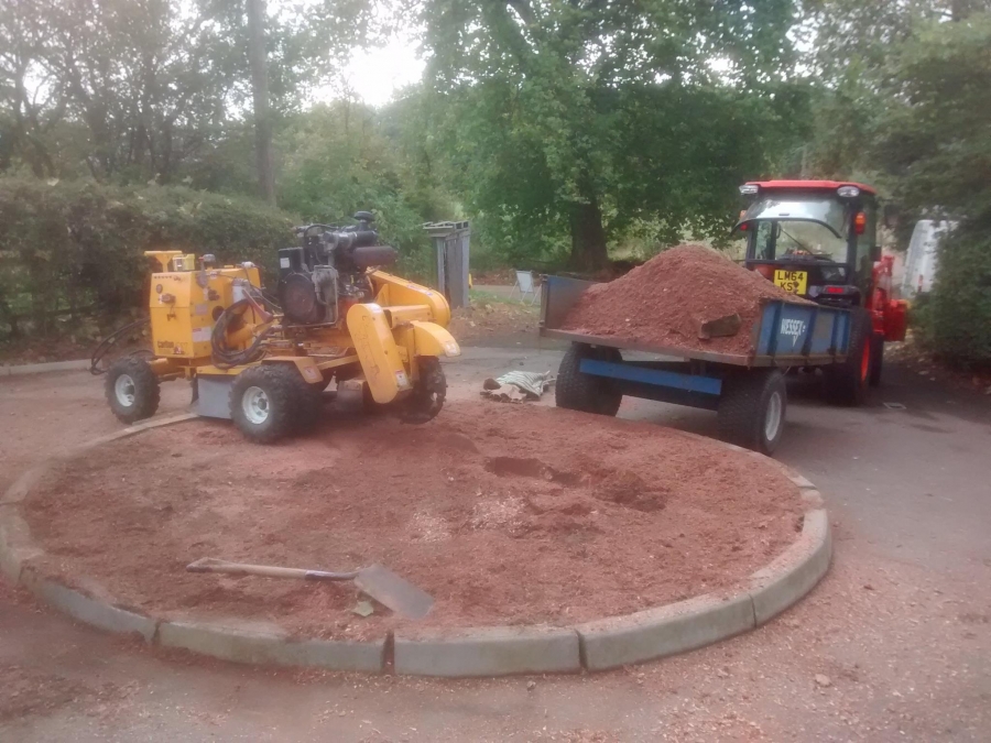 Before and After Stump Removal - Herts Stump Grinding and Removal -  The Tree Stump Removal Company