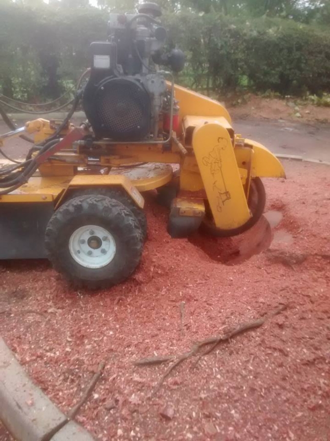 Before and After Stump Removal - Herts Stump Grinding and Removal -  The Tree Stump Removal Company