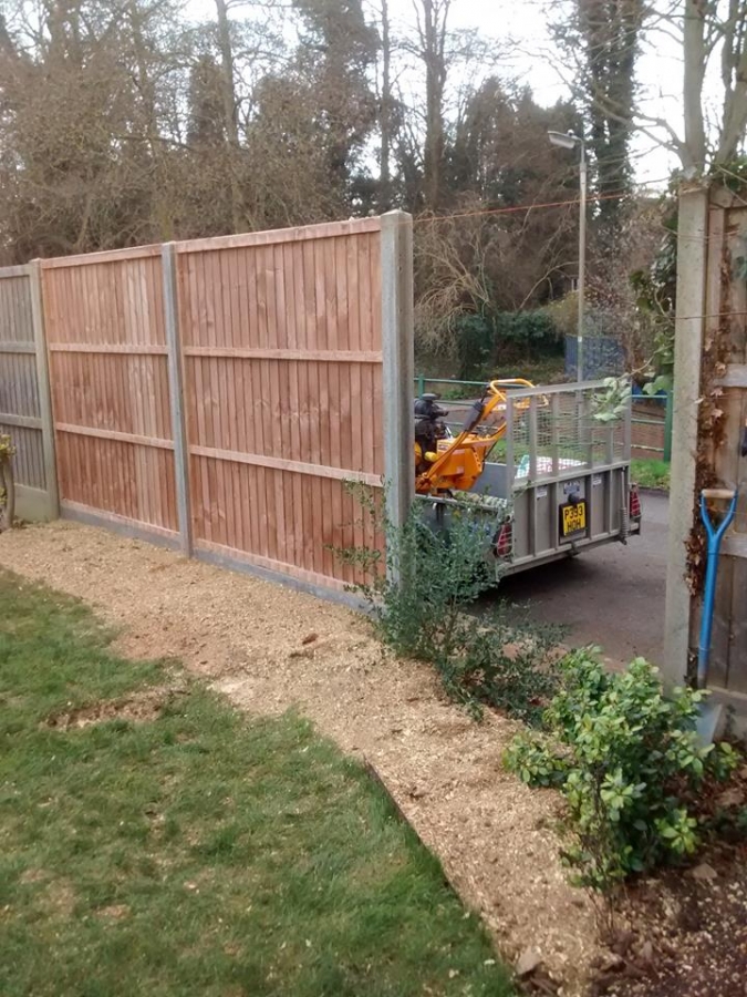 Before and After Stump Removal - Herts Stump Grinding and Removal -  The Tree Stump Removal Company