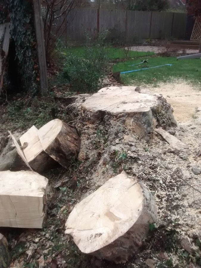 Before and After Stump Removal - Herts Stump Grinding and Removal -  The Tree Stump Removal Company