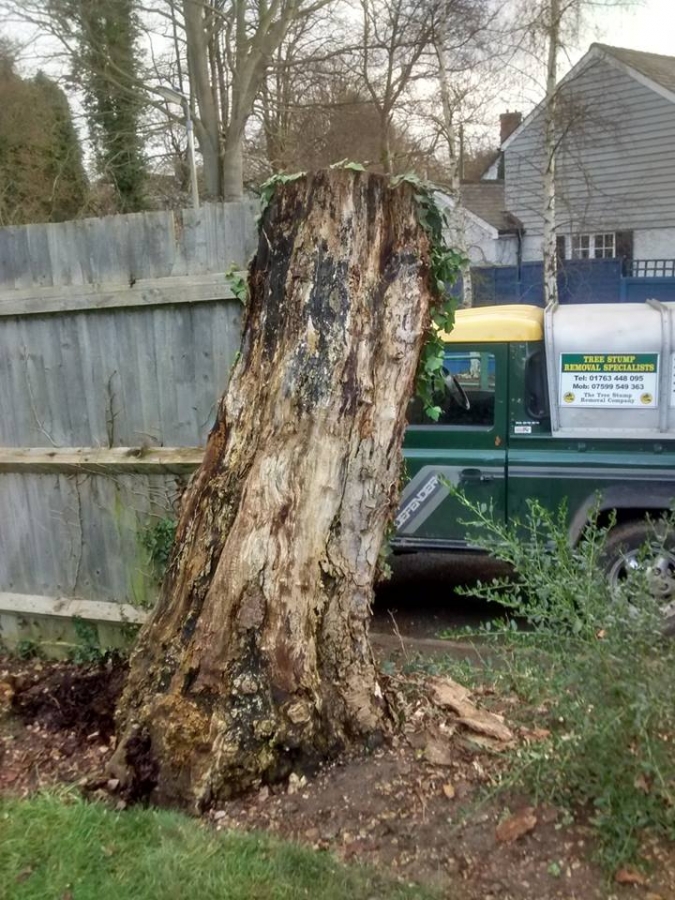 Before and After Stump Removal - Herts Stump Grinding and Removal -  The Tree Stump Removal Company