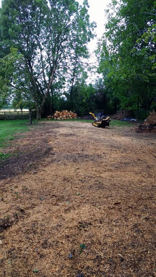 Before and After Stump Removal - Herts Stump Grinding and Removal -  The Tree Stump Removal Company
