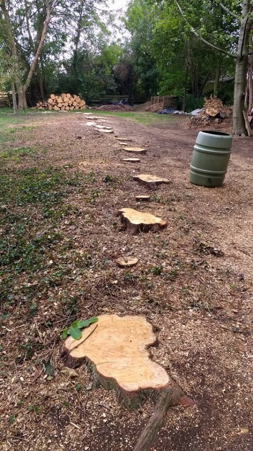 Before and After Stump Removal - Herts Stump Grinding and Removal -  The Tree Stump Removal Company