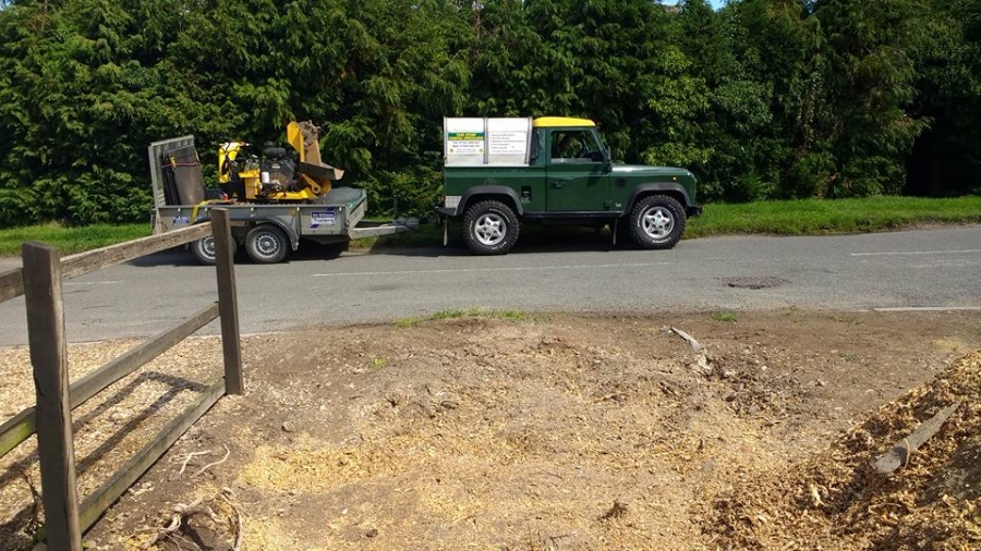 Before and After Stump Removal - Herts Stump Grinding and Removal -  The Tree Stump Removal Company