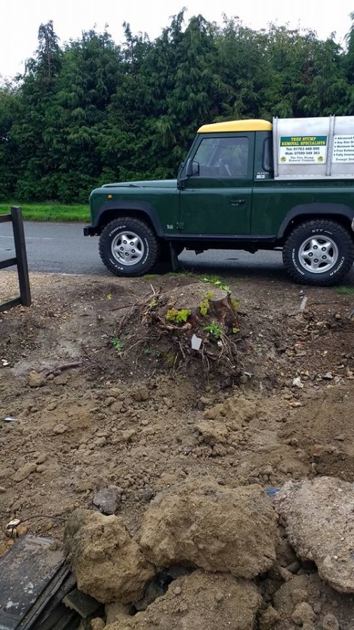 Before and After Stump Removal - Herts Stump Grinding and Removal -  The Tree Stump Removal Company