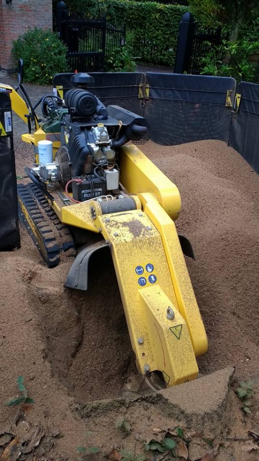 Before and After Stump Removal - Herts Stump Grinding and Removal -  The Tree Stump Removal Company