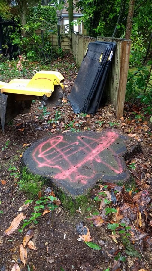 Before and After Stump Removal - Herts Stump Grinding and Removal -  The Tree Stump Removal Company
