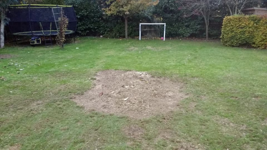 Before and After Stump Removal - Herts Stump Grinding and Removal -  The Tree Stump Removal Company